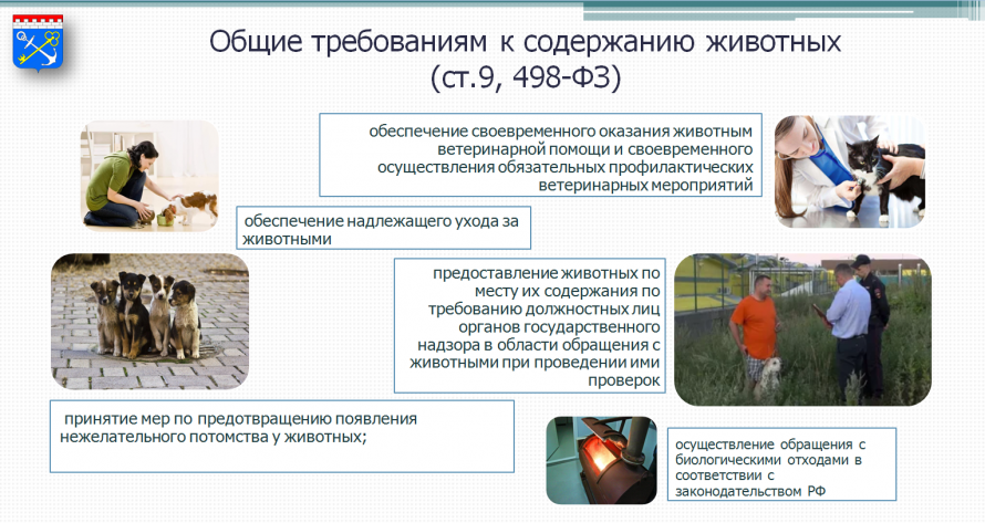 Общие требования к содержанию животных