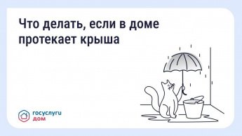 Как добиться устранения протечек в крыше