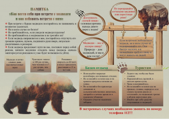 Памятка "Как вести себя при встрече с медведем и как избежать встречи с ним"