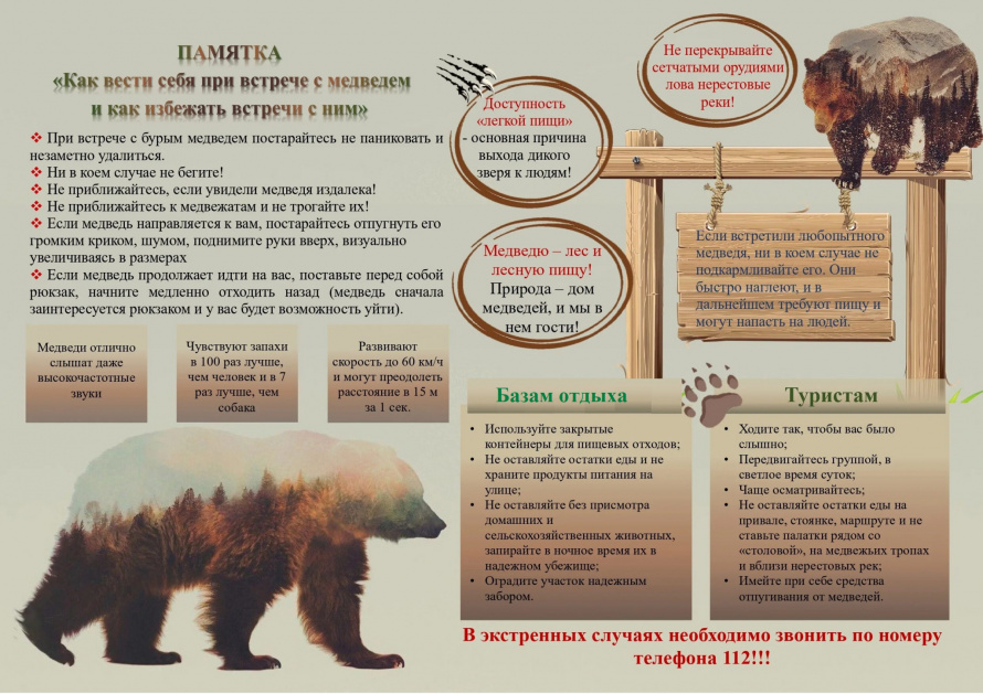 Памятка "Как вести себя при встрече с медведем и как избежать встречи с ним"