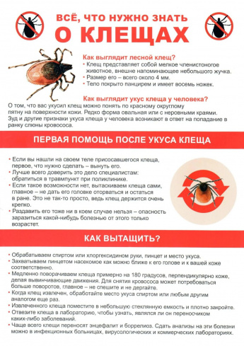 Всё, что нужно знать о клещах