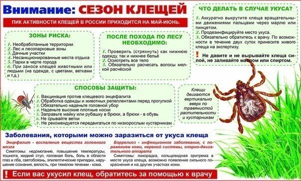 Внимание! Сезон клещей!