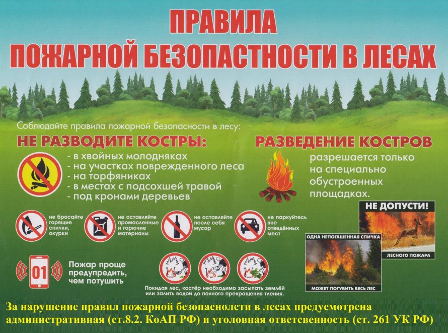 Памятка "Правила пожарной безопасности в лесах"