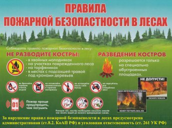 Памятка "Правила пожарной безопасности в лесах"