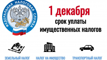 Срок уплаты налогов не позднее 1 декабря