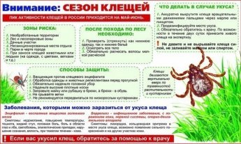 Внимание! Сезон клещей!
