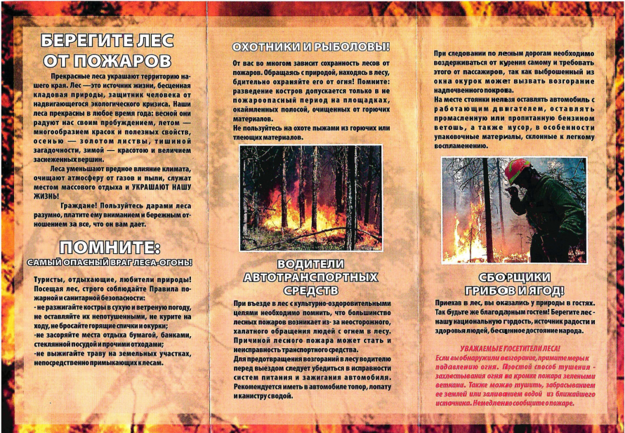 Памятка "Берегите лес от пожаров" 