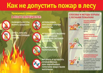 Памятка "Как не допустить пожар в лесу"
