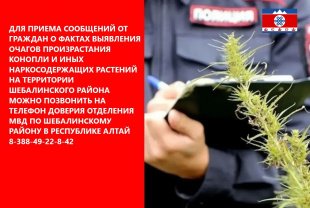 Телефон доверия 