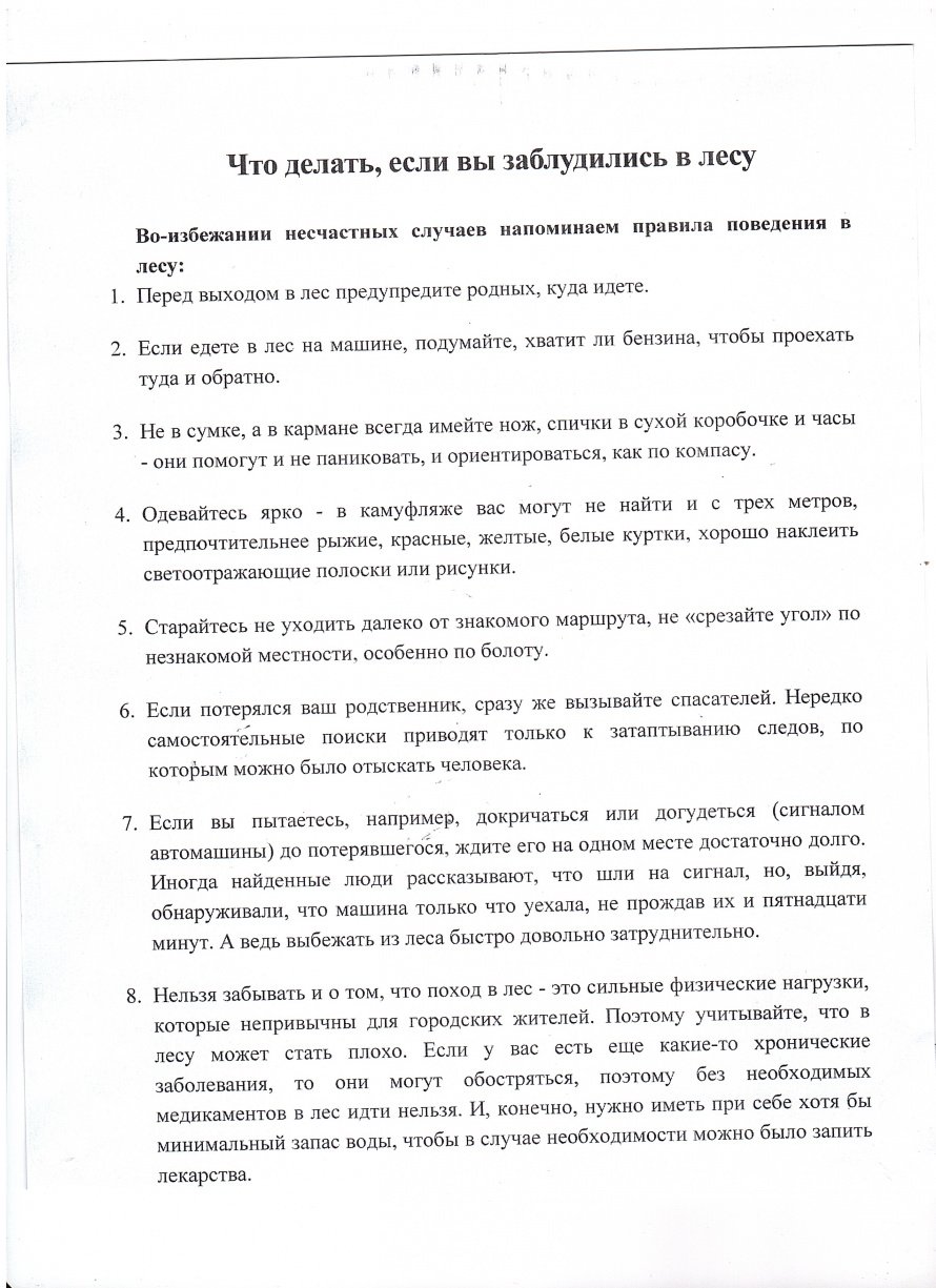Что делать, если вы заблудились в лесу