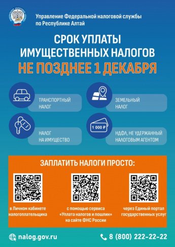 Срок уплаты налогов