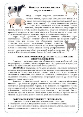 Памятка по профилактике ящура животных 