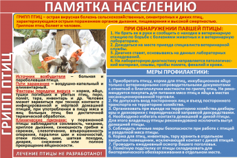 Памятка населению "Грипп птиц"