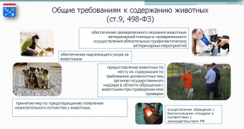 Общие требования к содержанию животных